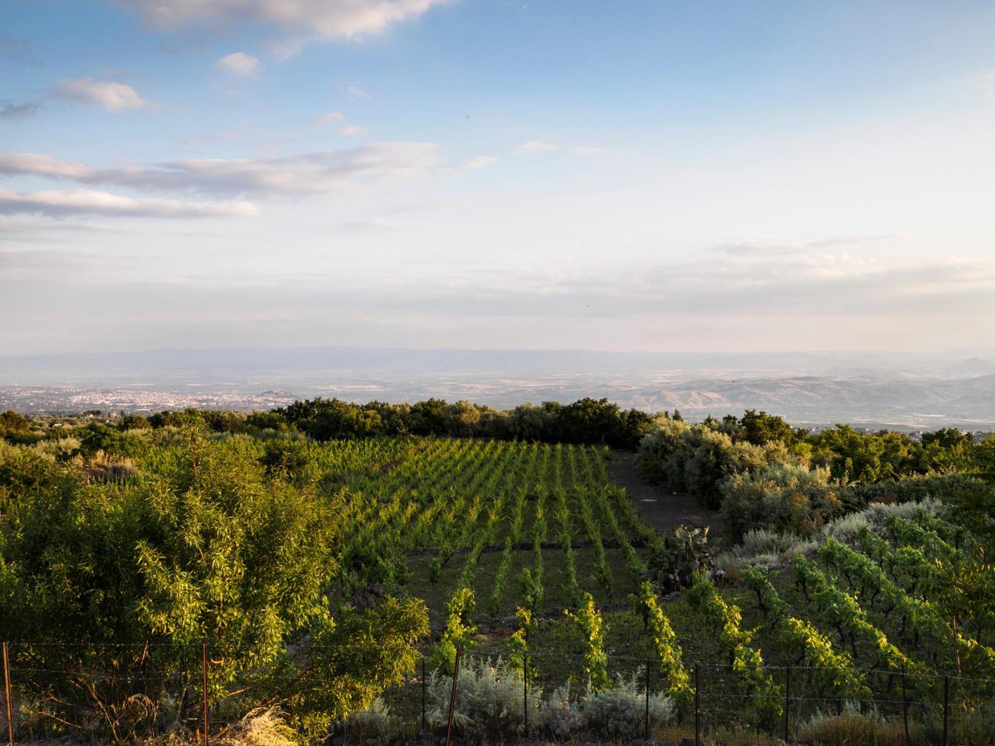 Podere Dell'Etna Segreta - Essential Nature Hotel & Glamping Бьянкавилла Экстерьер фото