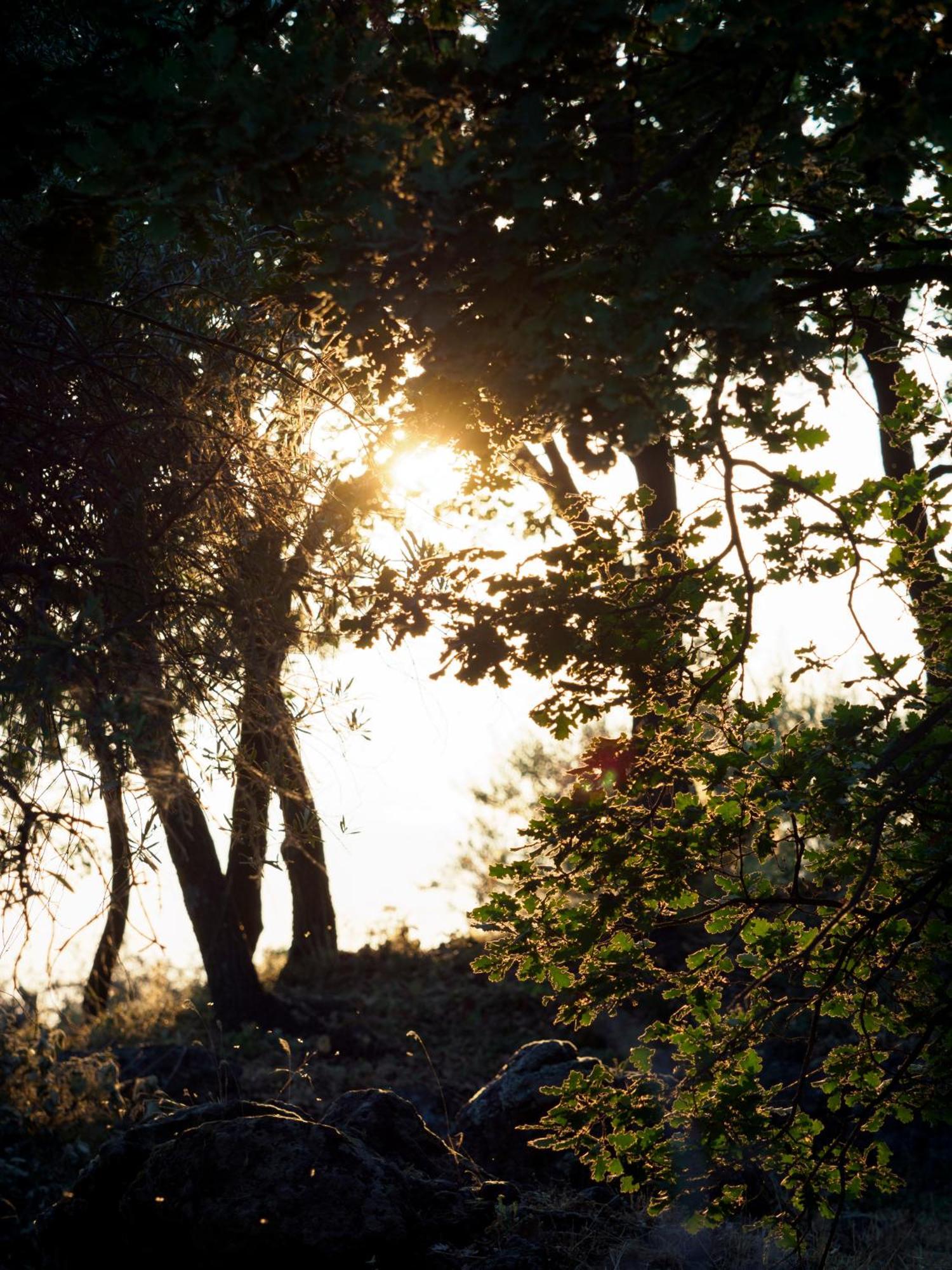 Podere Dell'Etna Segreta - Essential Nature Hotel & Glamping Бьянкавилла Экстерьер фото